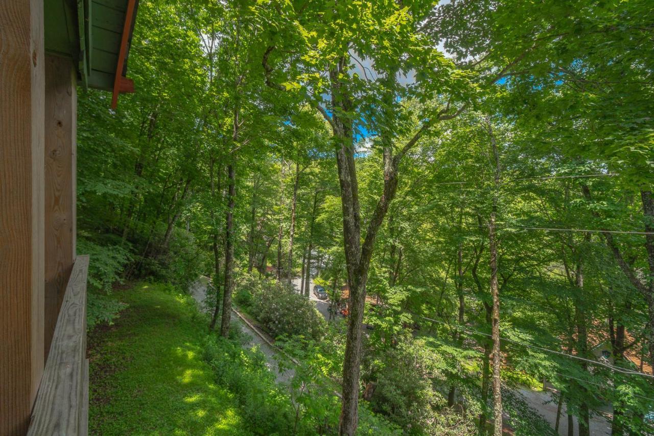 Swiss Mountain Village Blowing Rock Exterior photo